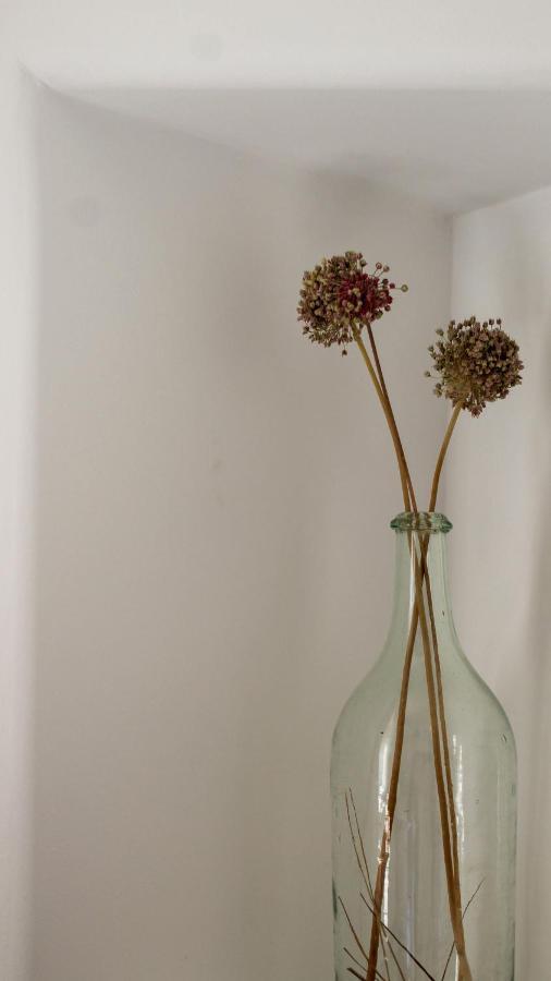 Laina Traditional Guest House Aperathos ภายนอก รูปภาพ
